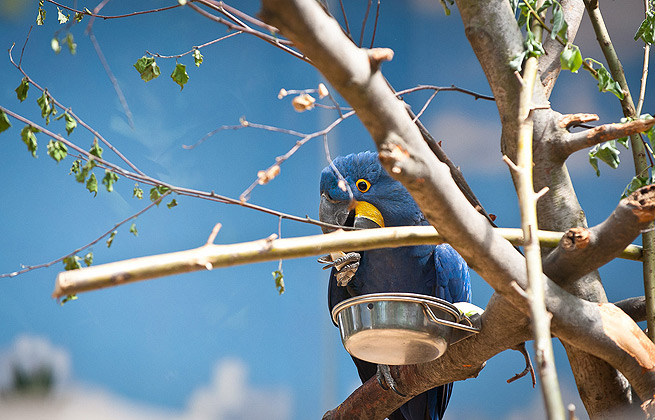 打爆别人手机号的软件