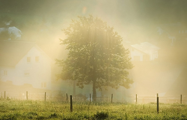 在线手机号轰炸测试