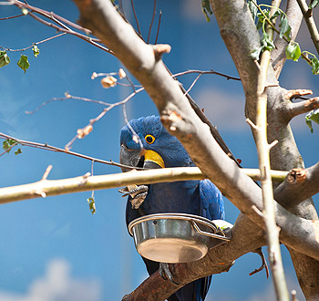 不黑号的可以留电话的骚扰网站