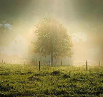 网络短信呼叫软件虚拟号码