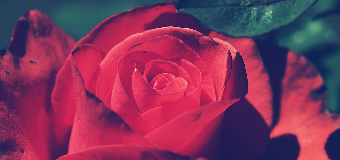 短信轰炸网页版